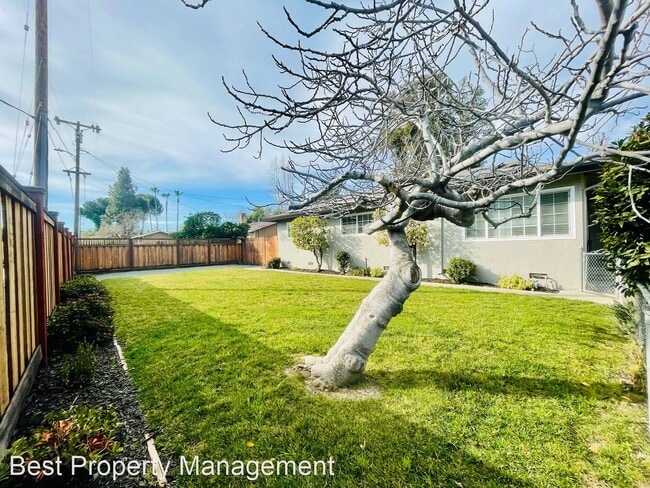 Building Photo - 3 br, 2 bath House - 789 Griffith Ln