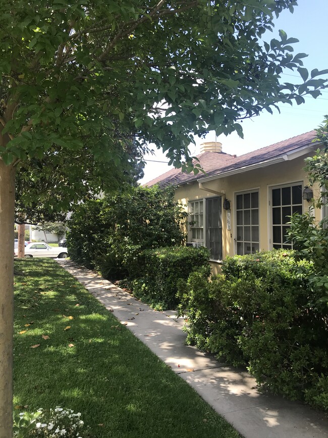 Courtyard of Magnolia trees - 11657 Magnolia Blvd