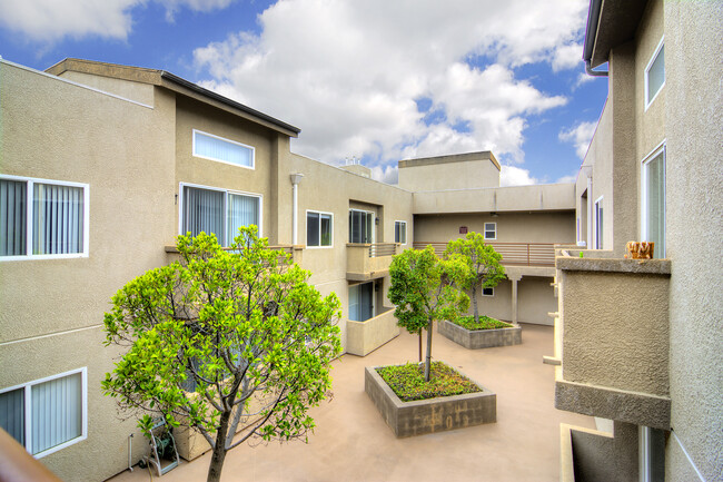 Building Photo - Courtyard on Miranda