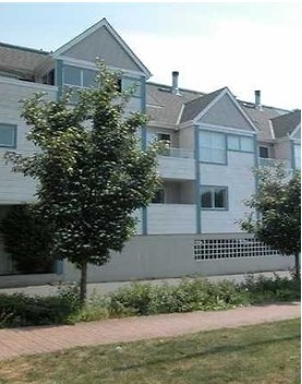Primary Photo - Mountainview Terrace