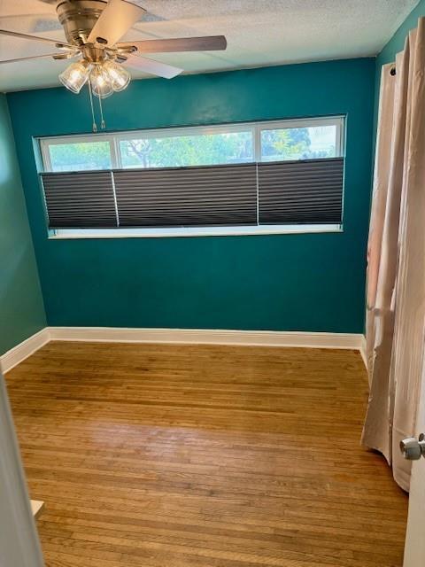 Foto del edificio - 31 NE 56th St