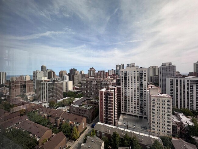 Foto del edificio - 1255 N Sandburg Terrace