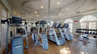 This fitness center combines functional design with refined architectural character. The space is defined by a striking decorative coffered ceiling with elegant molding details and recessed lighting, lending a polished, upscale ambiance uncommon in typical gym facilities. Soft blue-green walls complement the warm terra cotta tile flooring, creating a welcoming environment for exercise.

Large arched windows and glass-paned French doors line the perimeter, flooding the interior with abundant natural light and offering views of the surrounding outdoor landscape, including glimpses of a pool area and lush greenery. Wall-mounted mirrors along one side visually expand the space and assist users during workouts.

The fitness center is comprehensively equipped to support a full range of training needs. Cardio equipment includes multiple treadmills and elliptical machines, while a dedicated strength training section features Life Fitness cable and resistance machines. A free weights area provides a full rack of dumbbells alongside an adjustable workout bench, accommodating everything from light toning to heavier lifting. Wall-mounted flat-screen televisions are positioned for easy viewing during cardio sessions.

The open, airy layout ensures ample circulation space between equipment, and the overall design strikes a balance between practical functionality and architectural elegance.