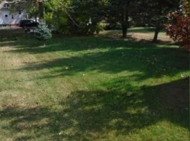 Back Yard - 1217 S 17th St