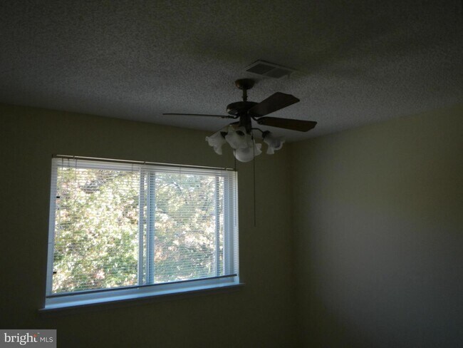 Foto del edificio - 10817 Amherst Ave