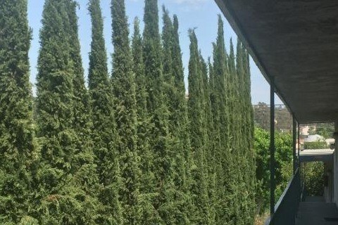 Paisaje - Ellenwood Apartments