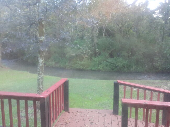 Creek in backyard and small deck - 13 Craven St SW