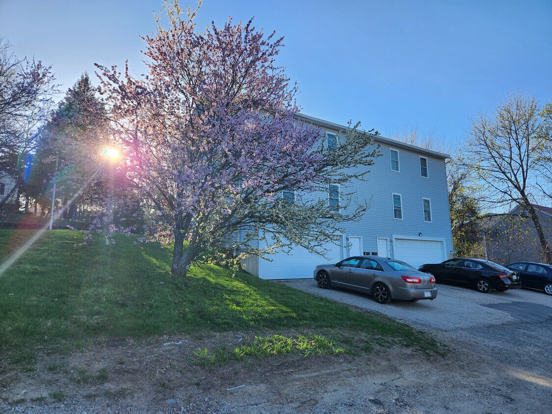 Primary Photo - 1 Rosamond St