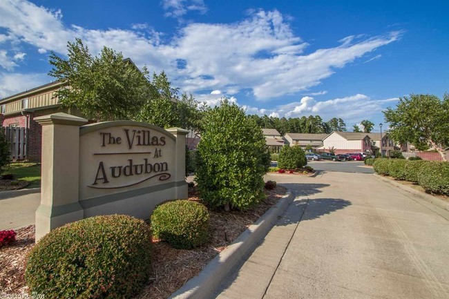 Building Photo - The Villas at Audubon Townhomes