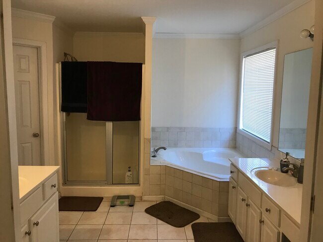 Master Bath - 1113 Whisperwood Ln