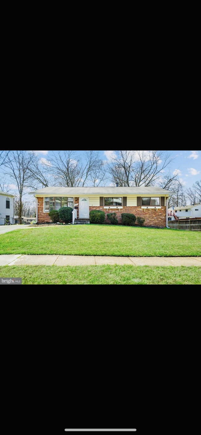 Building Photo - 10207 Addison Ct