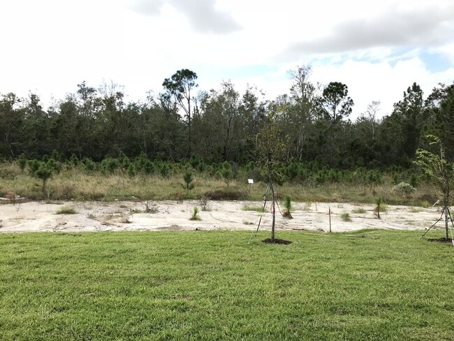 Building Photo - Newer 4/3 Single Story Home Lake Nona/Moss...