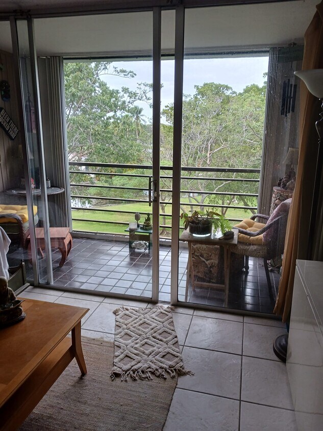 Looking out of the patio - 121 Royal Park Dr