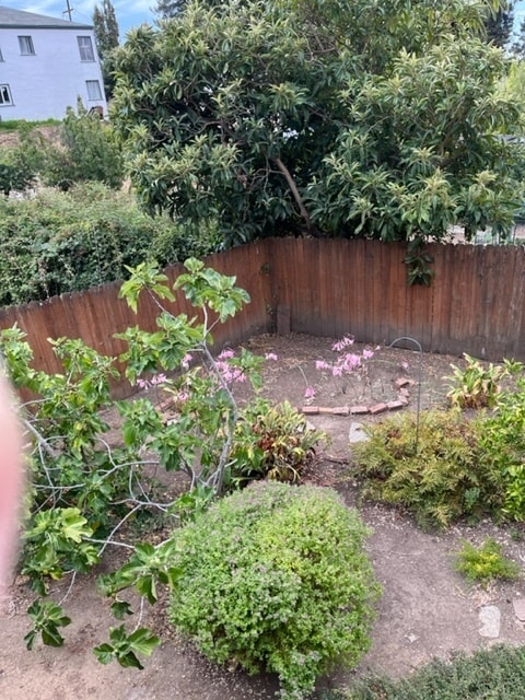 Photo - 3611 Harbor View Ave House