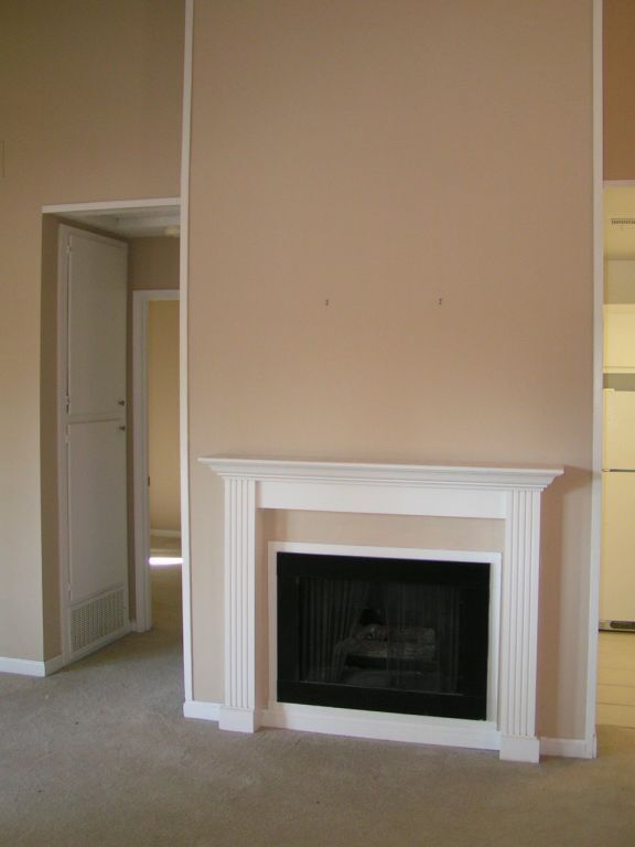 Gas Fireplace - 5450 Concord Blvd