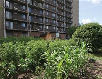 Building Photo - Kingsbury Towers