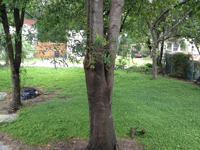 Photo - Large 3/2 Close to Downtown House