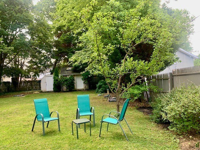 Your beautiful back yard. - 301 Norwood Ave