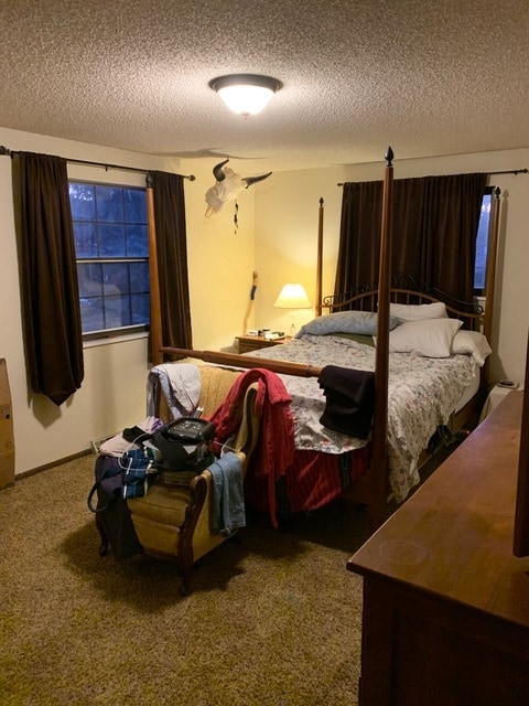 Master Bedroom - 1417 Antero Dr