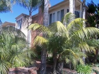 Primary Photo - 340 Palomar Ave