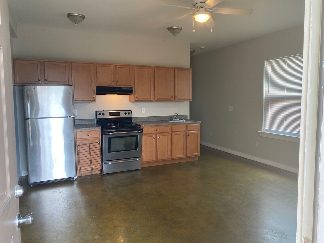 open concept living/kitchen - 1009 2nd Ave S #6