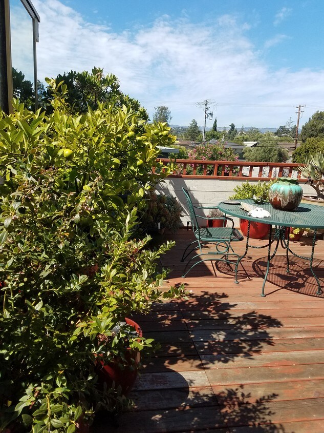 558 Cambridge Ave, Palo Alto, CA 94306 Condo for Rent in Palo Alto, CA