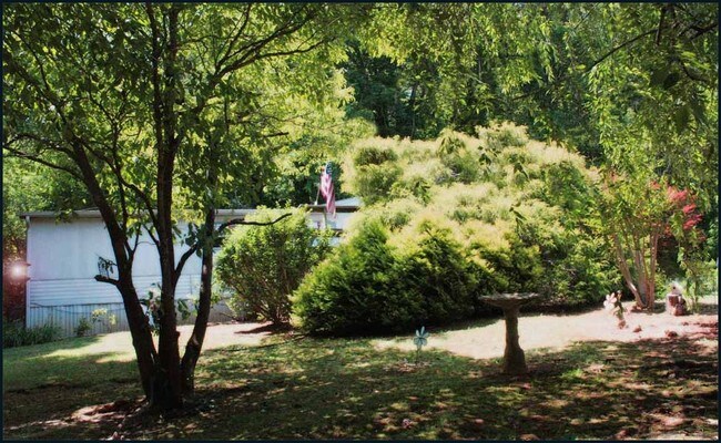 Foto del edificio - 51 Homestead Ave