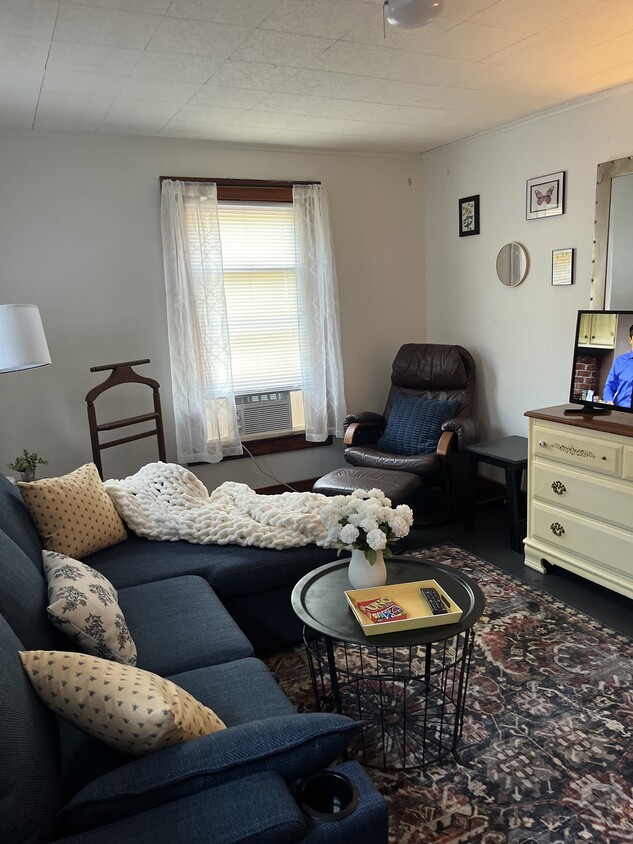 Cute and cozy living room! - 52 West St