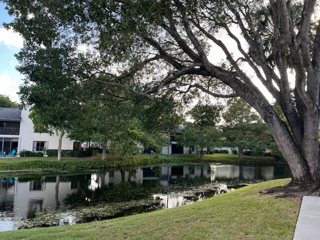 Building Photo - Excellent Condo in Coconut Creek