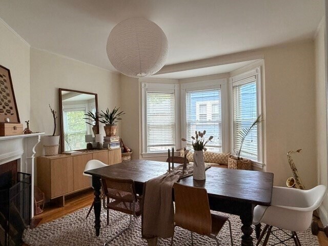 Foto del edificio - 52 Hillsdale Rd