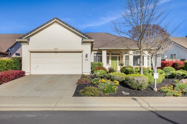 Building Photo - 1144 S Bluff Dr