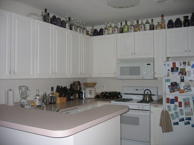 Kitchen - 7011 Falls Reach Dr