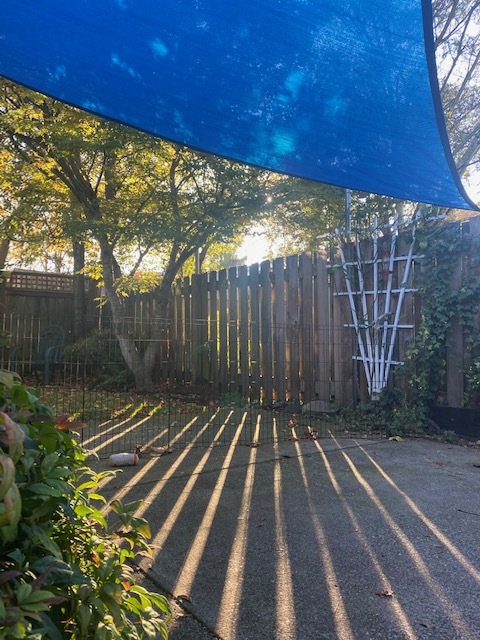 Foto principal - 6845 N Albina Ave