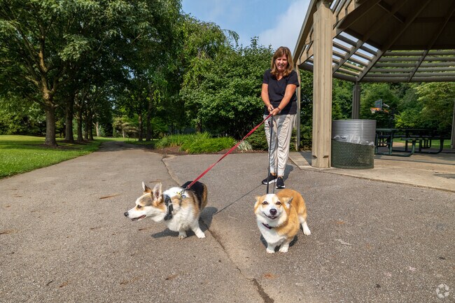 Wellington Park in Brandon is a perfect place to take fury friends on a morning walk.