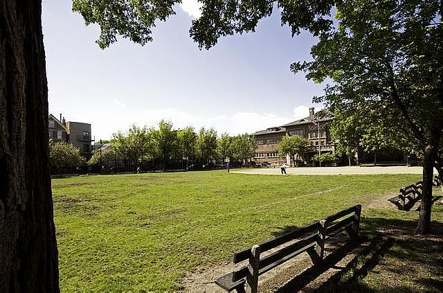 View of Holstein Park - 2141 N Oakley Ave
