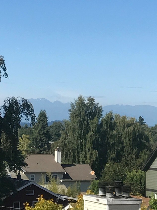 6910 California Ave SW, Seattle, WA 98136 Condo for Rent in Seattle, WA