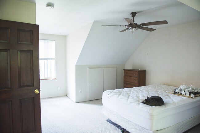 Foto del edificio - Great Home in West Fort Collins