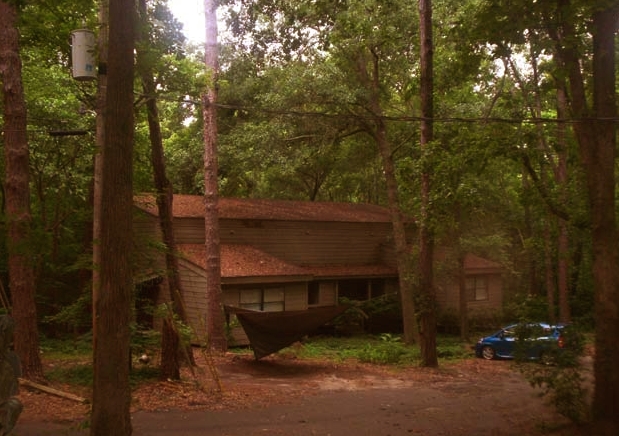 Building Photo - 1343 Rumba Ln