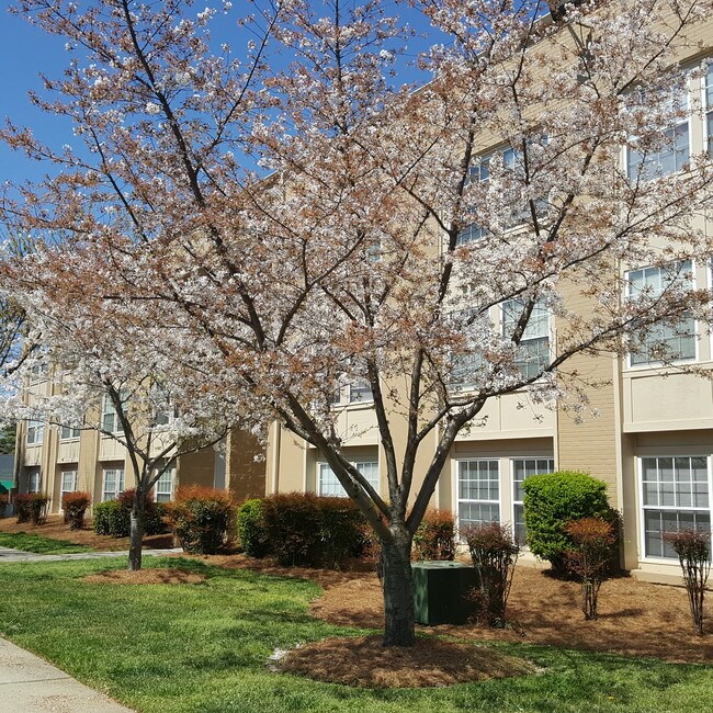 Lindley Garden Apartments Lindley Garden Apartments