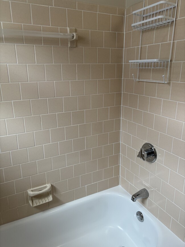 Tiled bathroom - 23 Prospect St