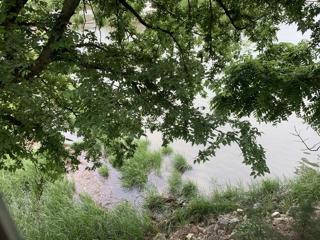 adjacent to creek - 4501 World Farm Rd