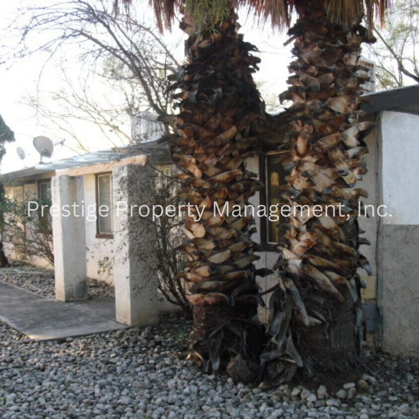 Primary Photo - 0065