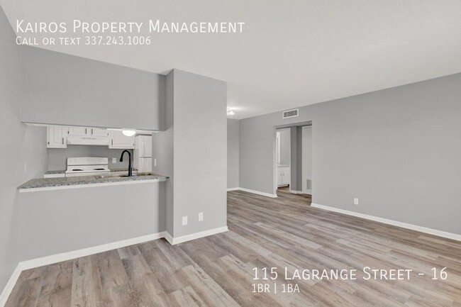 Building Photo - 115 W Lagrange St