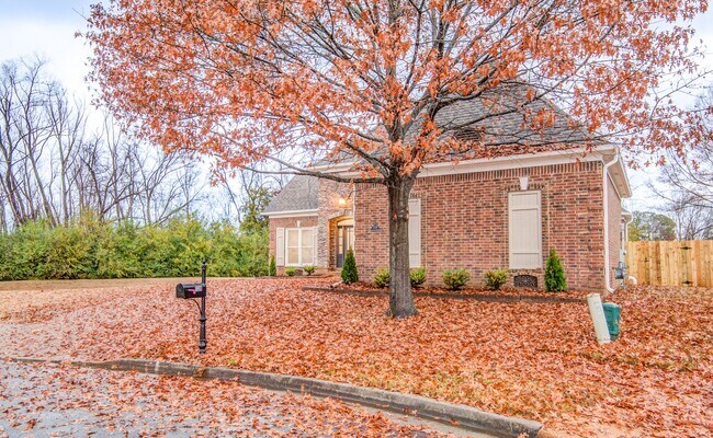 Building Photo - Gorgeous Home for Rent in Collierville Sch...