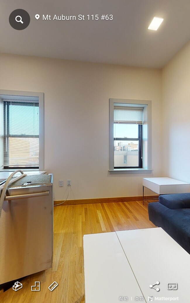 Building Photo - 119 Mount Auburn St
