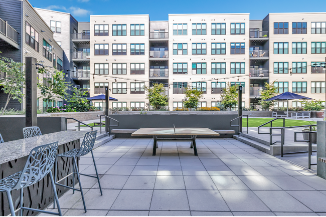 Interior Photo - Olive & Wooster