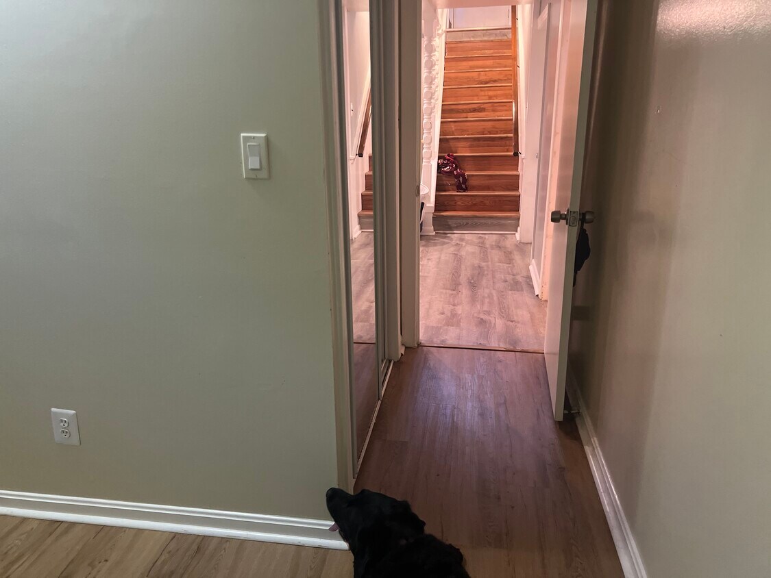 13125 Vandalia Dr, Rockville, MD 20853 House for Rent in Rockville, MD