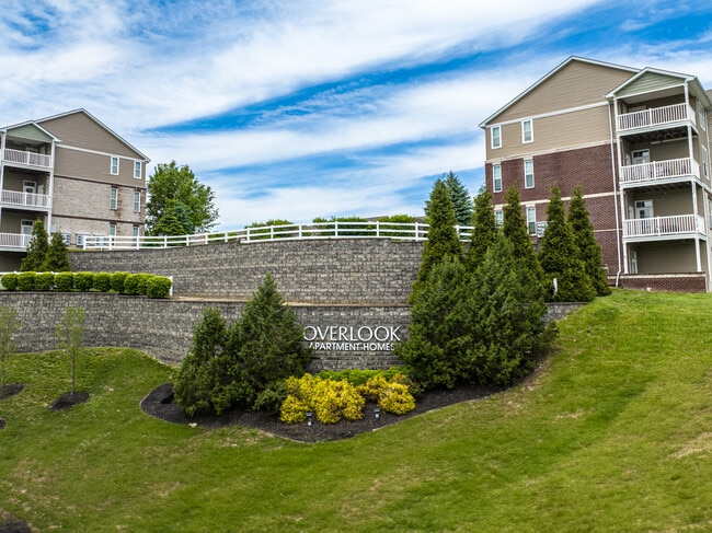 Building Photo - Overlook Apartments - OVL