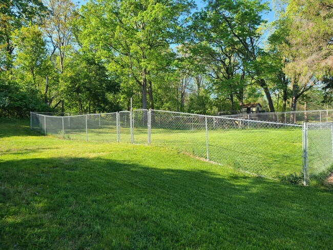 Fenced in Back Yard - 189 Thomas Ln