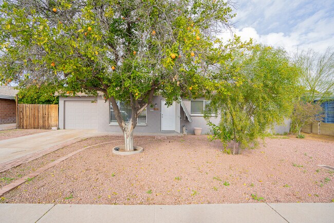 Building Photo - 8518 E RANCHO VISTA DR, SCOTTSDALE AZ